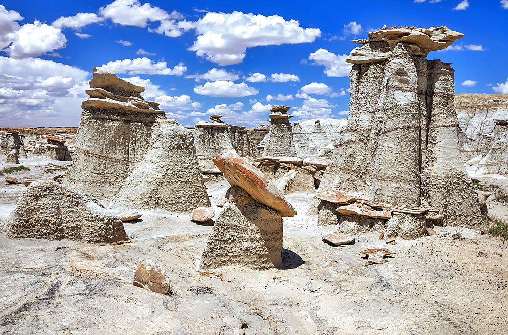 Unique rock formations, Bisti Badlands, Bisti/De-Na-Zin Wilderness, San Juan County; New Mexico, United States of America