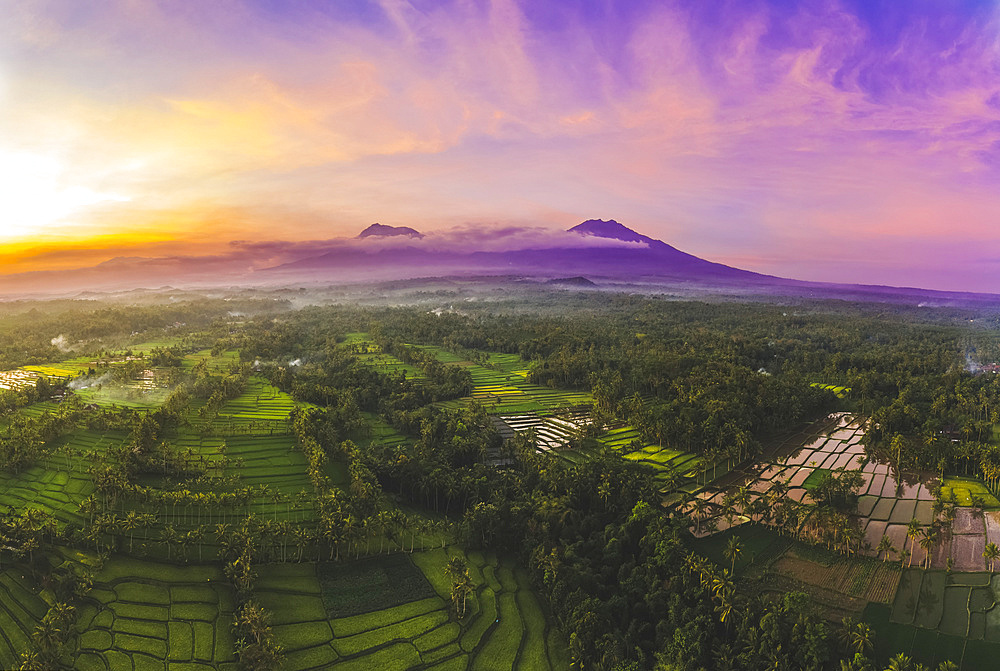 Sunset at Licin Rice Terraces; East Java, Java, Indonesia