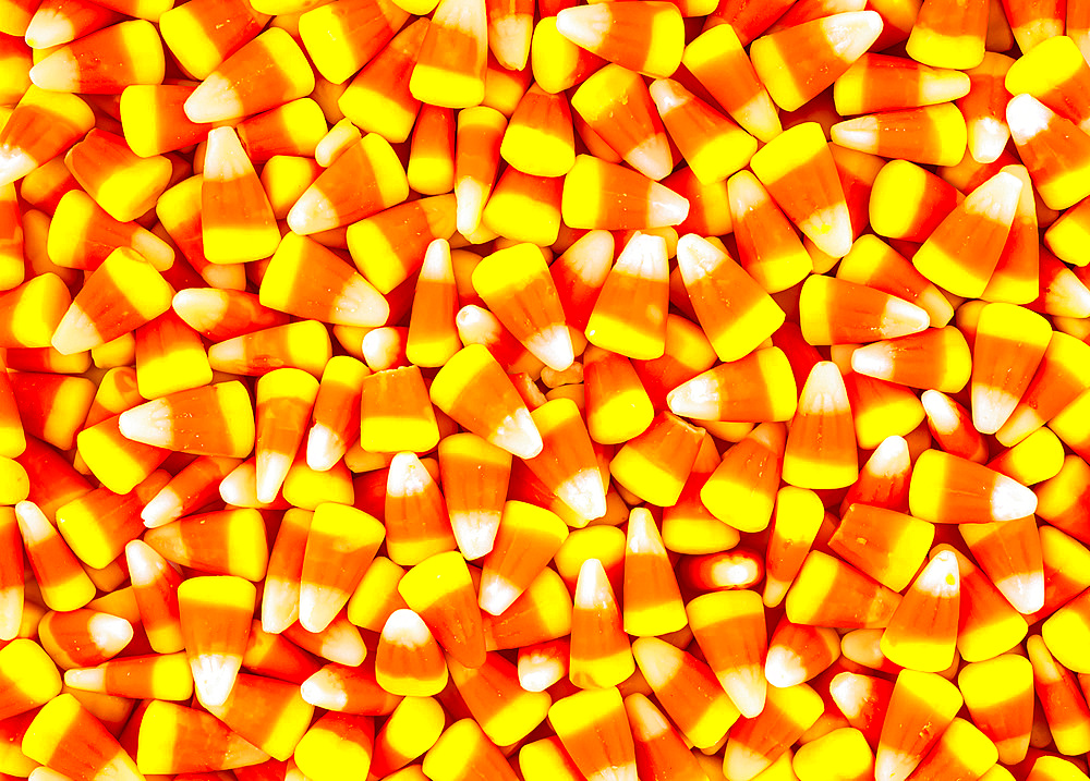 Many pieces of candy corn; Studio