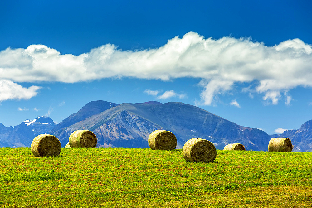 Hay bales on a hillside field with mountain range, clouds and blue sky in the background, near Waterton; Alberta, Canada