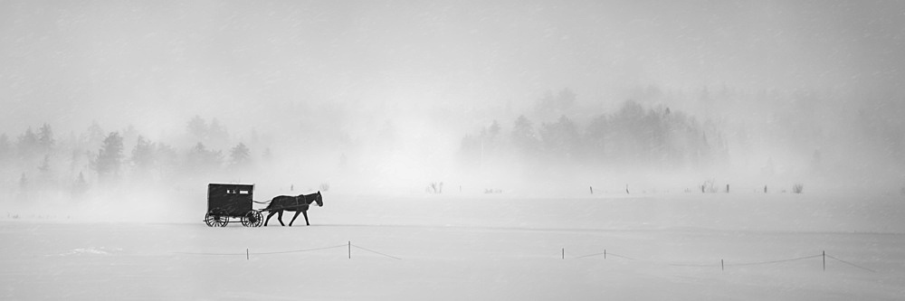 Horse and buggy in a snowstorm; Sault St. Marie, Michigan, United States of America