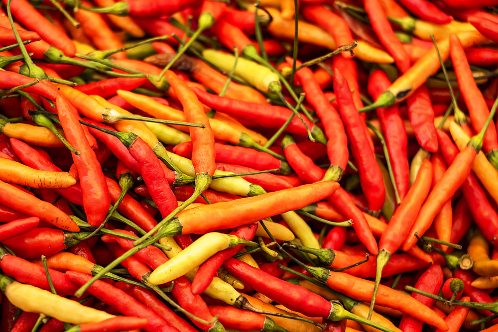 Hot peppers for sale at the Tomohon Market; Tomohon, North Sulawesi, Indonesia