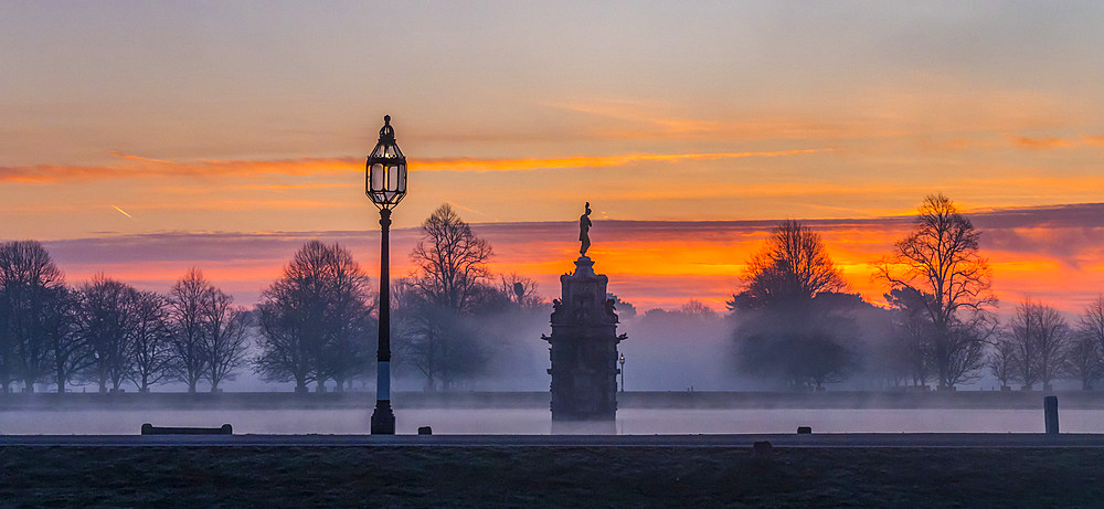 Bushey Park on a misty morning during a dramatic sunrise; London, England