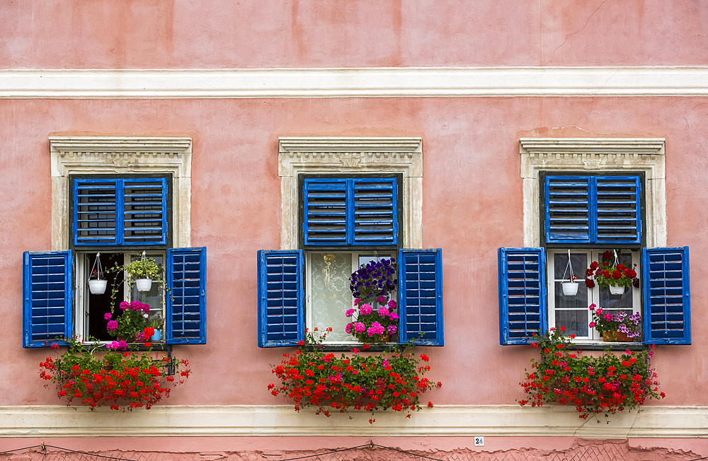 Flowers decorate residential windows with blue shutters on a building with pink facade; Sibiu, Transylvania Region, Romania