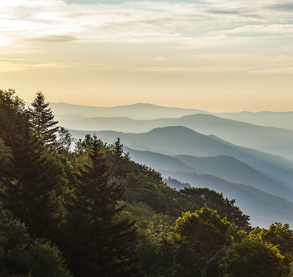 Majestic Mountains in a Gentle Haze in Western North Carolina; North Carolina, United States of America