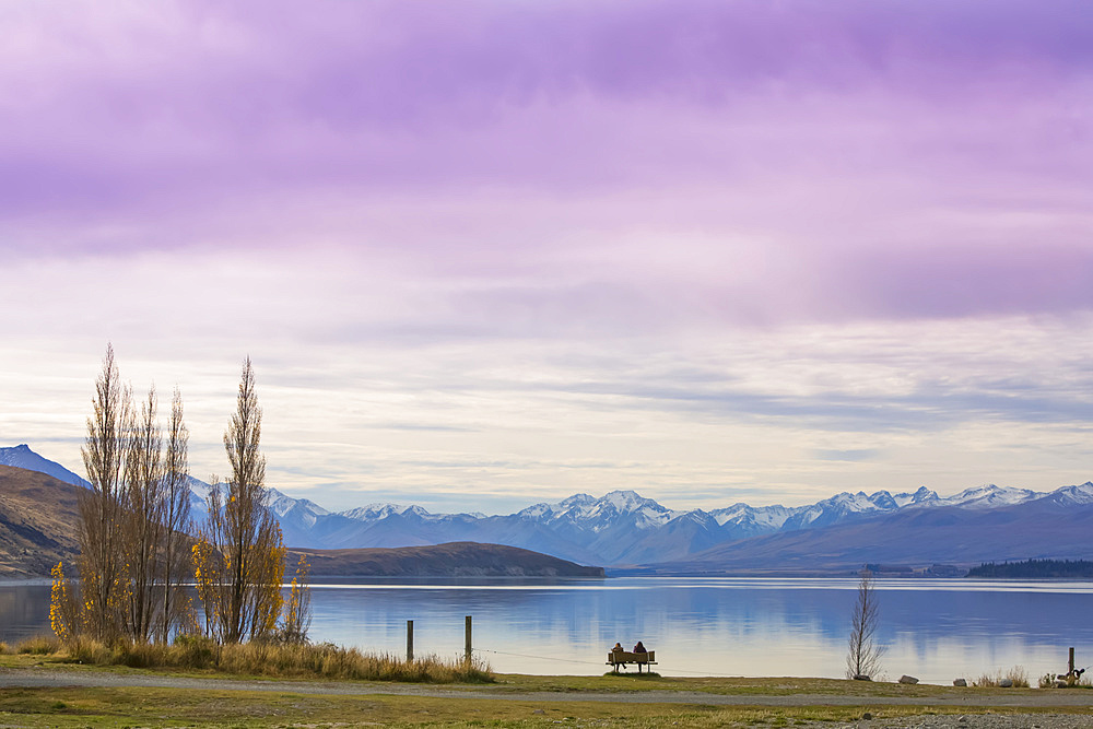 Beautiful views over the shoreline of New Zealand's Lake Tekapo at sunset; Canterbury, New Zealand