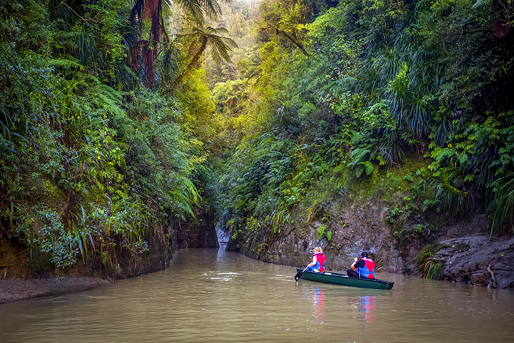 The Blue Duck lodge located in the Whanganui National Park is a working cattle farm with a focus on conservation. Kayaking down river through the beautiful rainforest; Retaruke, Manawatu-Wanganui, New Zealand