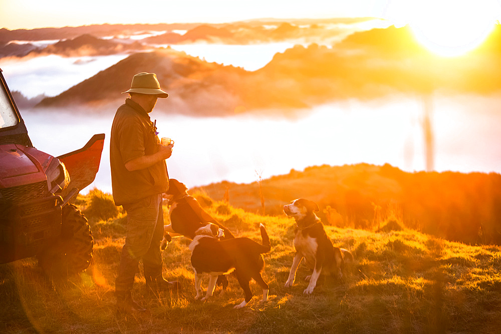 The Blue Duck lodge located in the Whanganui National Park is a working cattle farm with a focus on conservation. Travellers go to a scenic viewpoint to watch the sunrise over the rainforest. A man stands drinking coffee with dogs at his feet; Retaruke, Manawatu-Wanganui, New Zealand