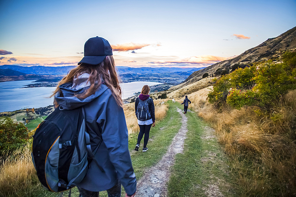 The strenuous yet highly rewarding hike to Roys Peak in Wanaka. The hike is difficult but the views are spectacular. Young women on the trail of a hillside with sheep; Wanaka, Otago, New Zealand