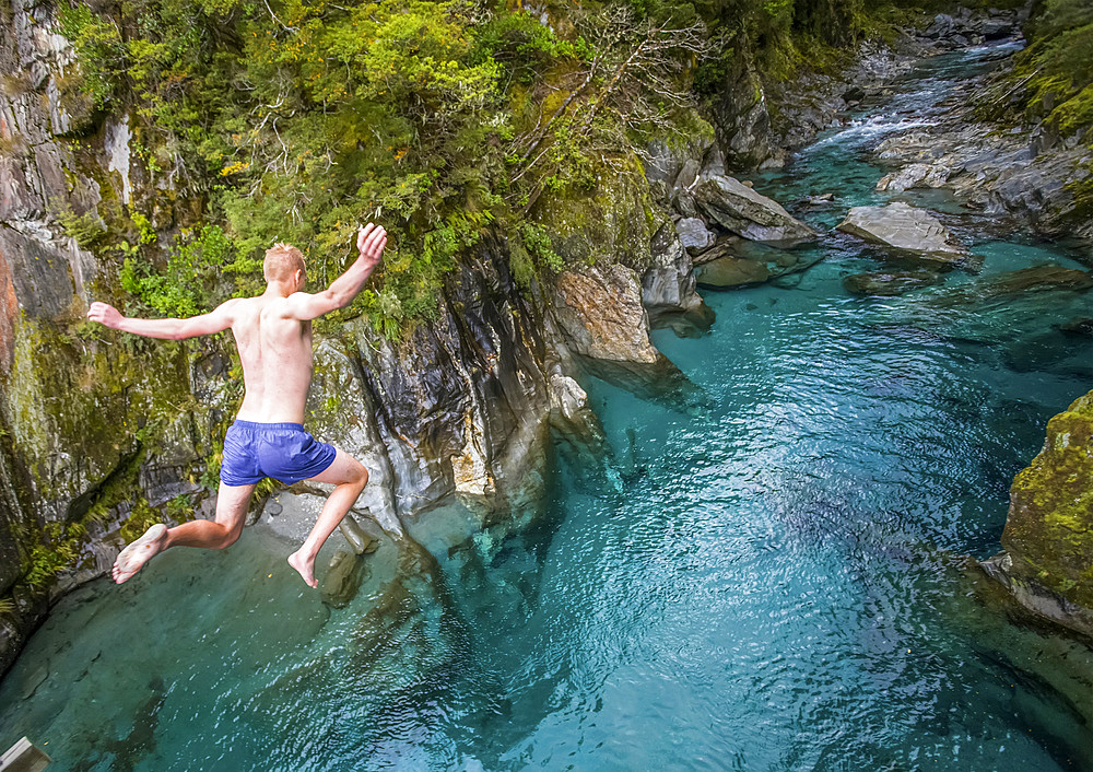 The Blue Pools of Makarora offer enticing blue waters to swim in. A man jumps off a bridge into the water in Mount Aspiring National Park; Makarora, New Zealand