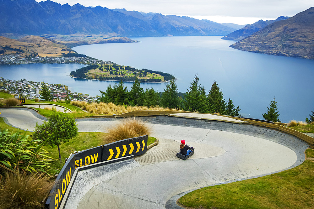 The famed luge that sits with a view over Lake Wakatipu and Queenstown city; Queenstown, Otago, New Zealand