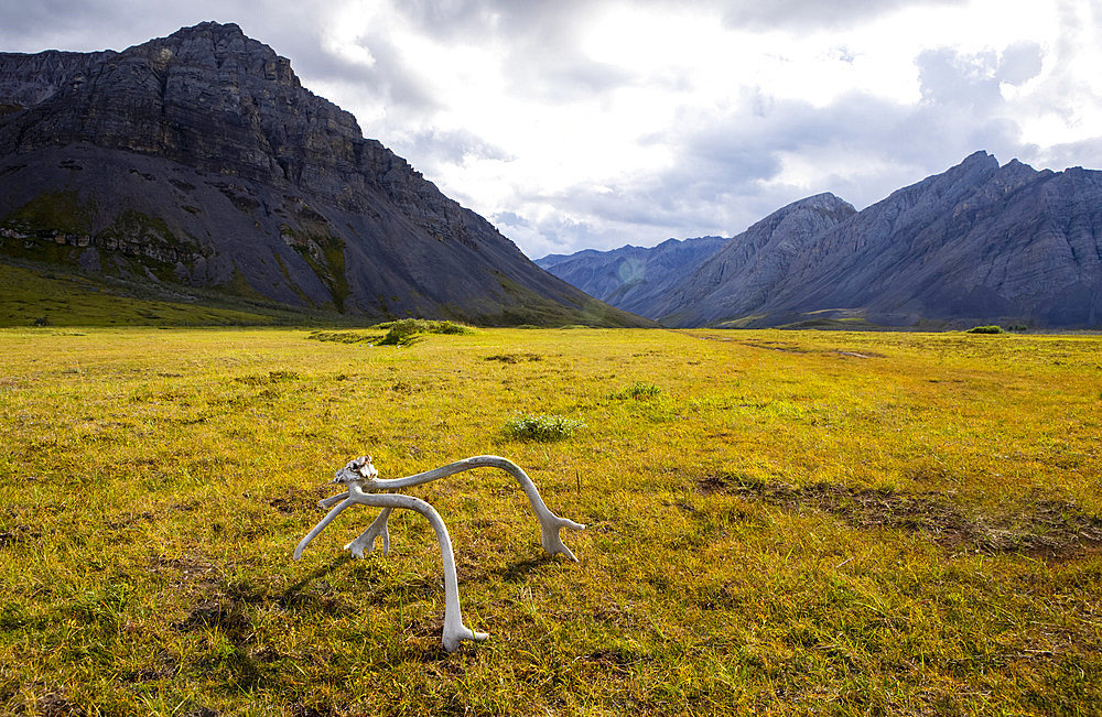 A caribou rack lit up by the sun, marks the end of a remote bush airstrip in the Upper Marsh Fork Valley, Brooks Range, Arctic National Wildlife Refuge; Alaska, United States of America