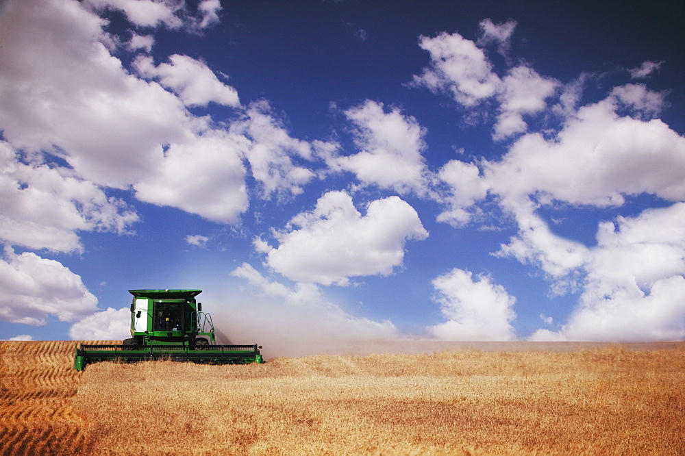 Combine Harvester