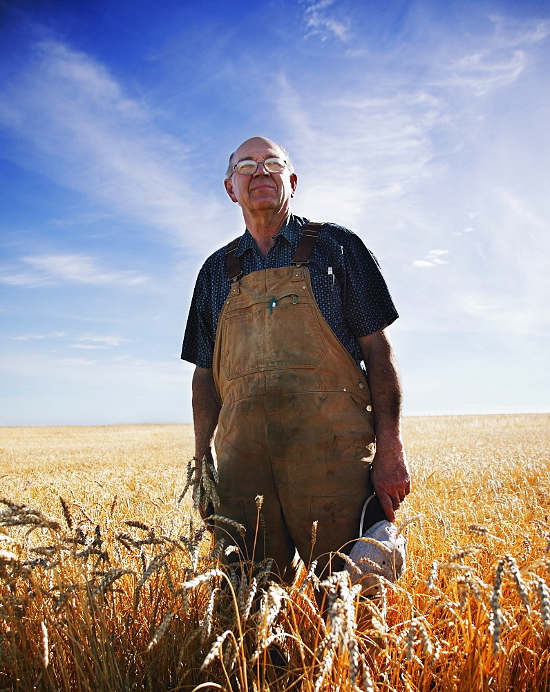 Famer Standing In A Barley Field