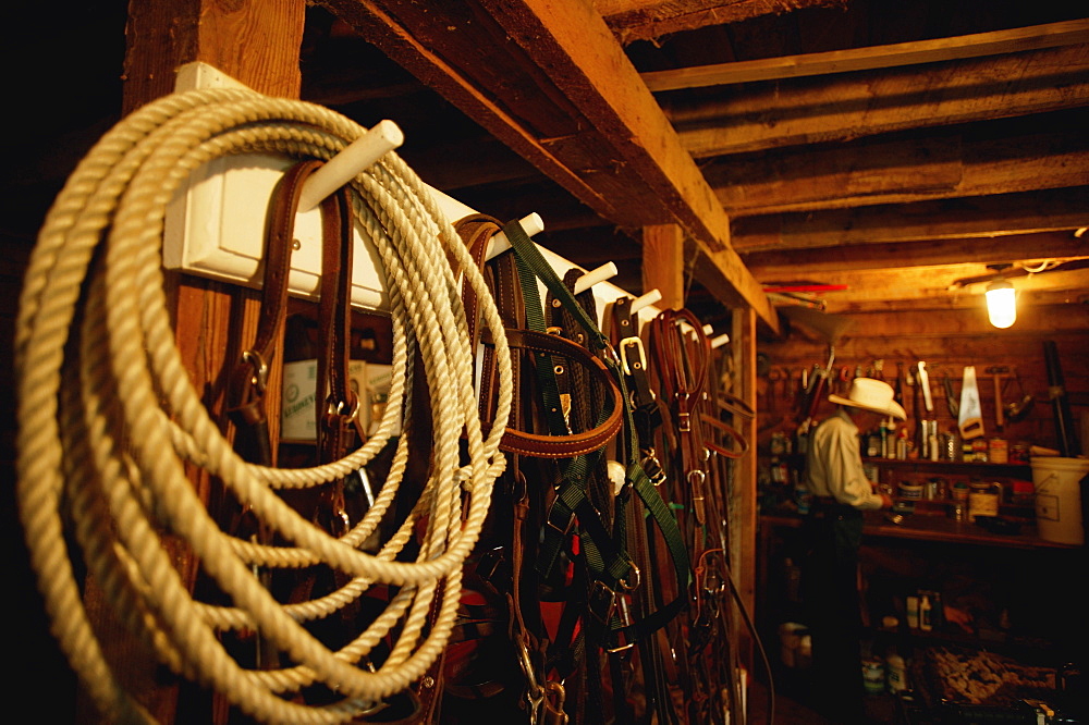 Cowboy In A Barn