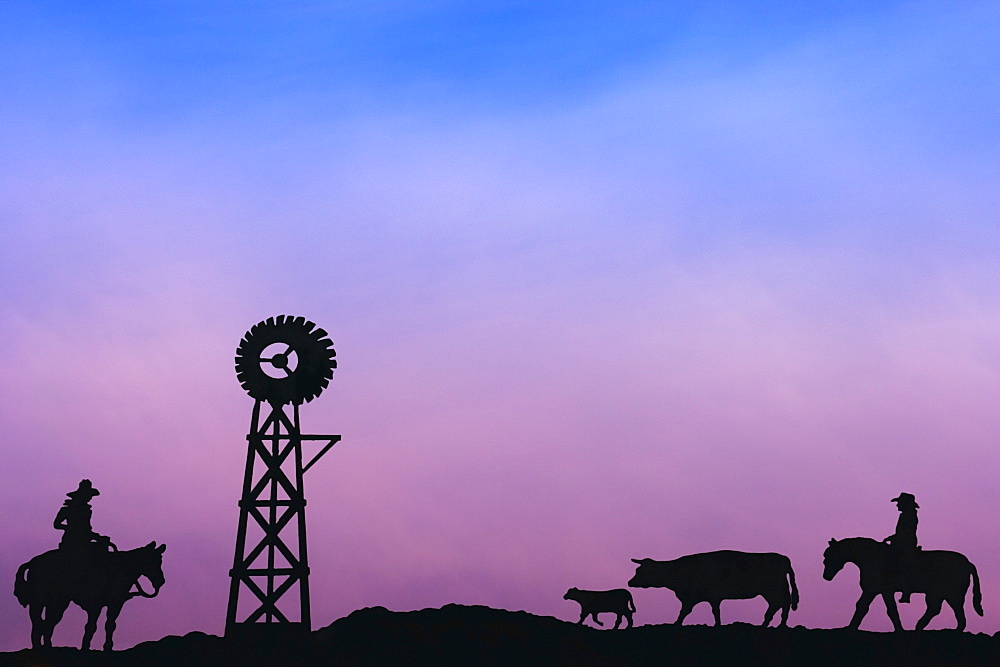 End Of The Day At Cattle Round Up Southern Alberta Canada