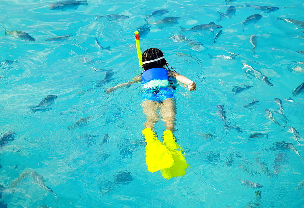 Little Girl Snorkeling With Fish