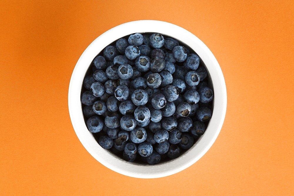 Blueberries In A White Bowl On An Orange Background