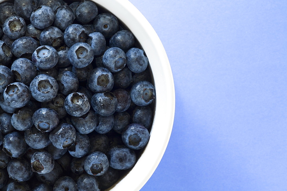 Bowl Of Blueberries