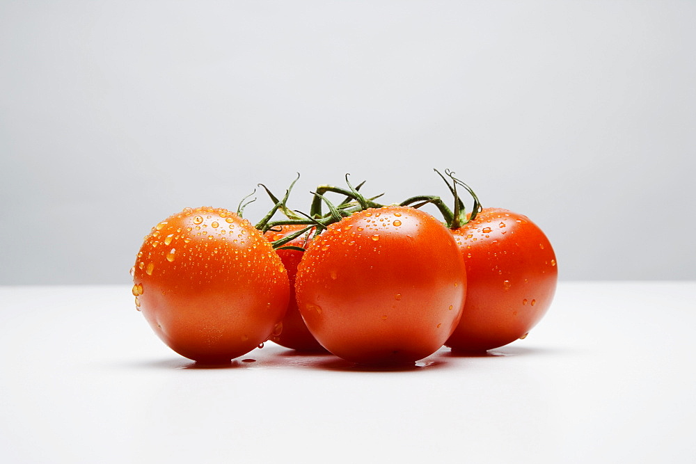 Vine Tomatoes