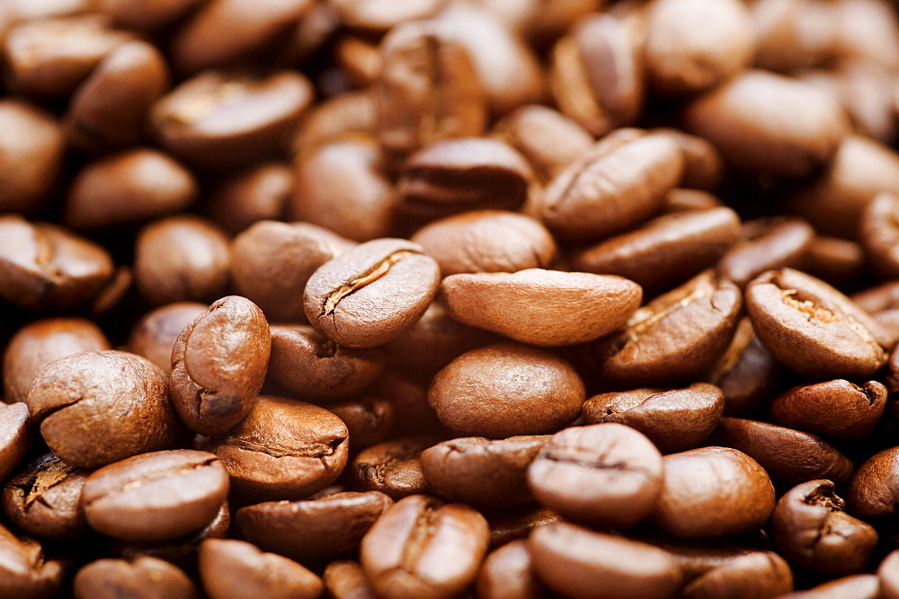 Roasted Coffee Beans