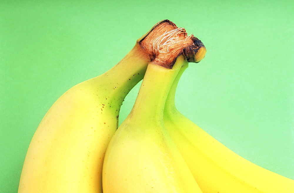 Close Up Of Banana Stems