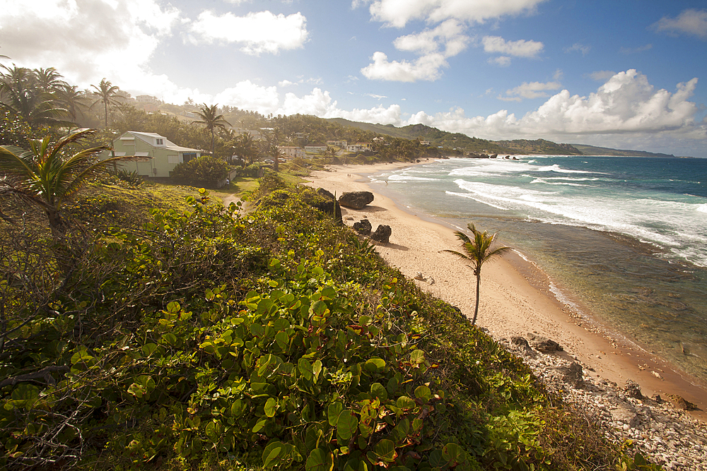 Scenic view down the coastline looking north from Bathsheba, Bathsheba, Barbados, Caribbean