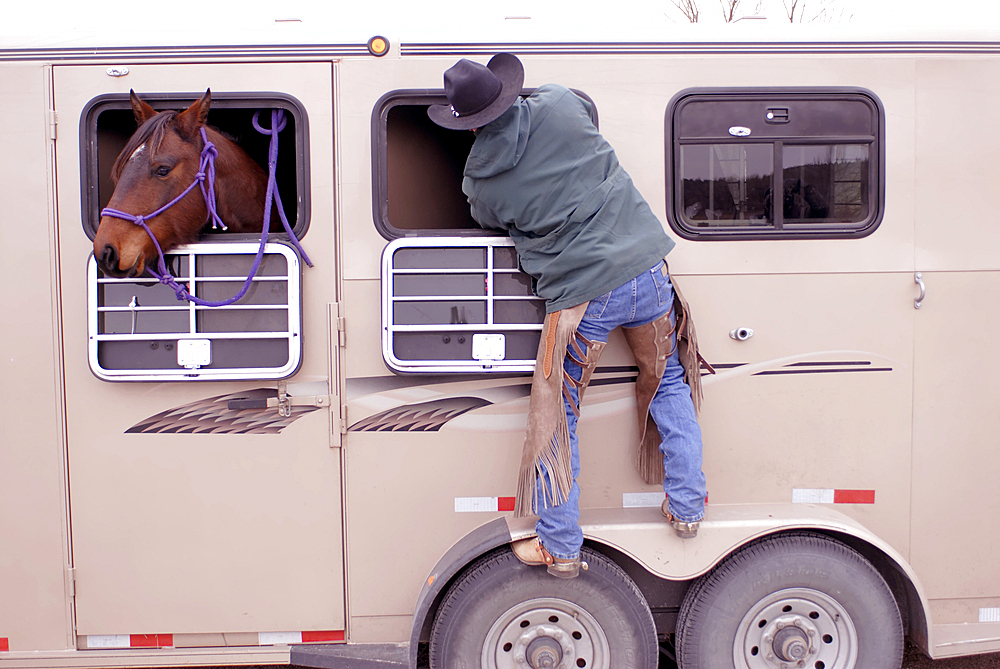 Male rancher makes the final preparations for his trailer, Halsey, Nebraska, United States of America