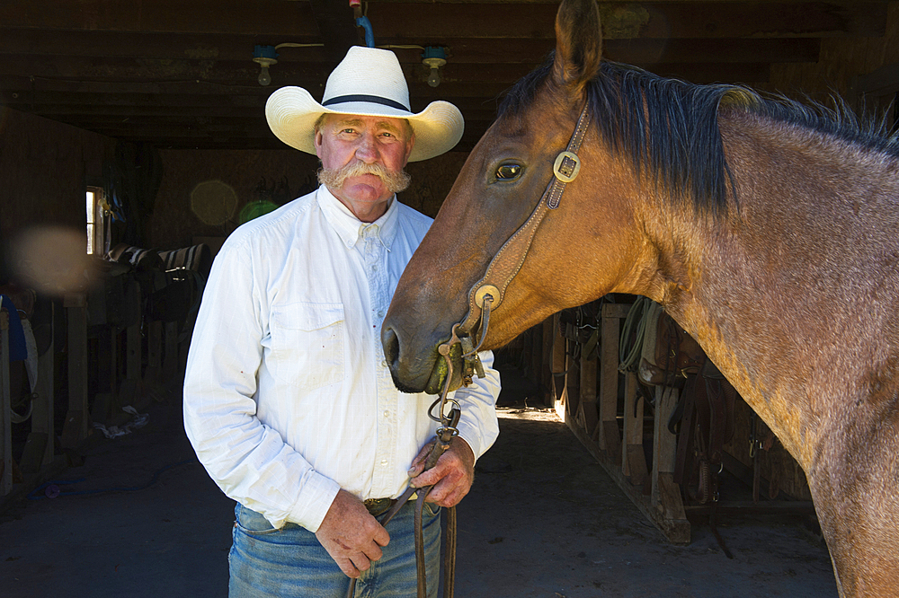 Rancher stands in a barn with his horse, Burwell, Nebraska, United States of America