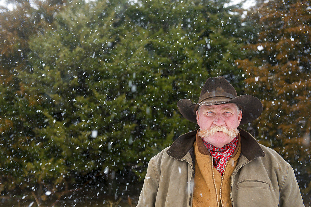 Portrait of a man in a cowboy hat standing in front of evergreen trees during a snowfall, Burwell, Nebraska, United States of America