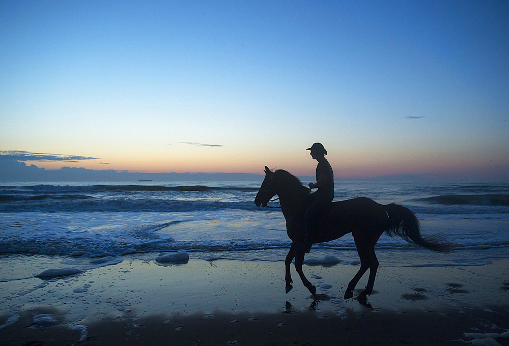 Cowboy rides his horse at sunrise along Virginia Beach in First Landing State Park, Virginia, USA, Virginia Beach, Virginia, United States of America