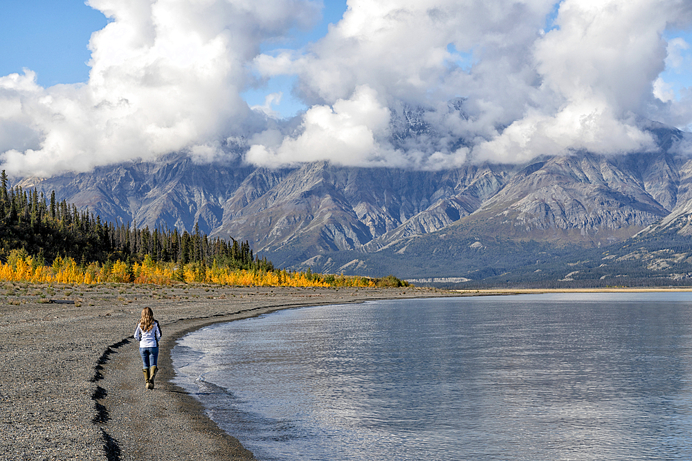 Woman walking on the shores of Kluane Lake with mountains all around her. An incredibly beautiful scene, Yukon, Canada