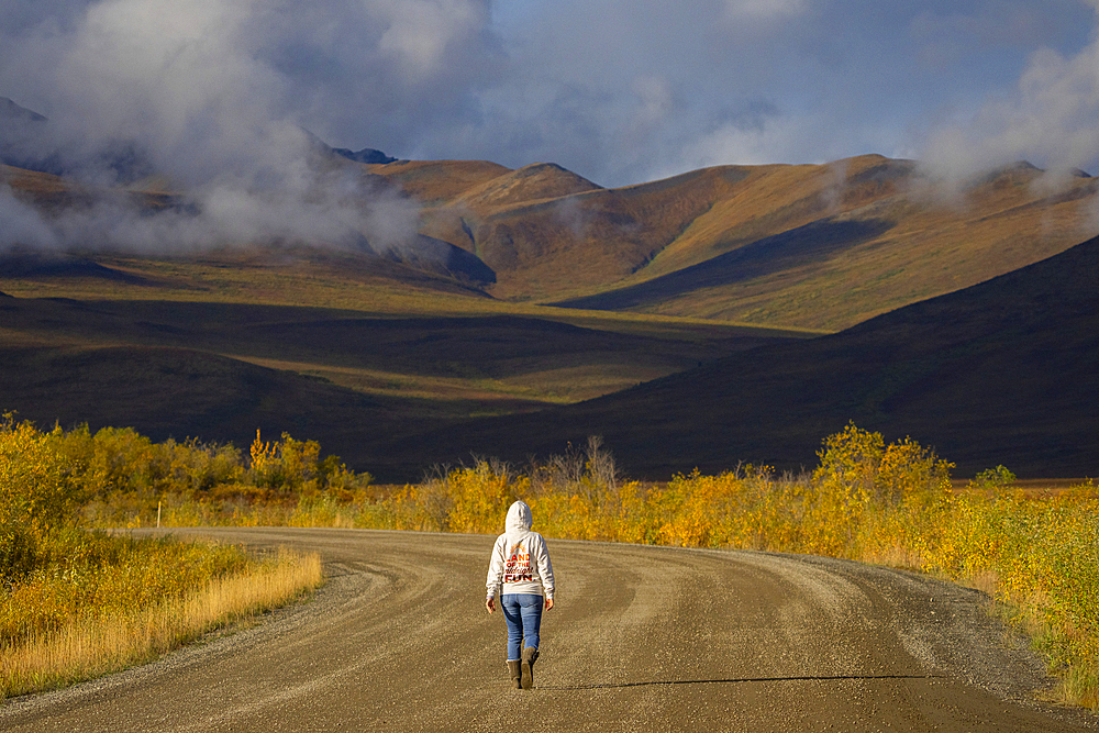 Woman walking down the Dempster Highway in the early morning light of the Yukon. Autumn colours are starting to adorn the landscape, Yukon, Canada