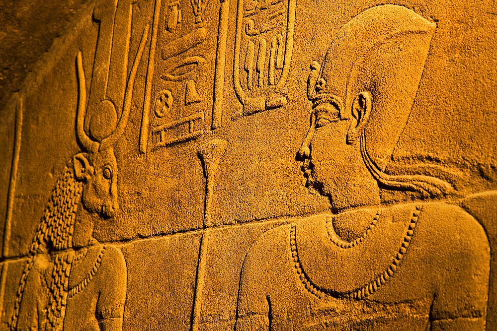 Close-up of bas-relief of hieroglyphs and mythology on the walls inside the Temple of Isis at Philae Island on the Nile River with golden light, Aswan, Egypt