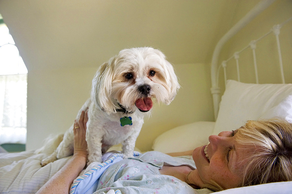 Woman lies in bed with her dog at their home, Lincoln, Nebraska, United States of America