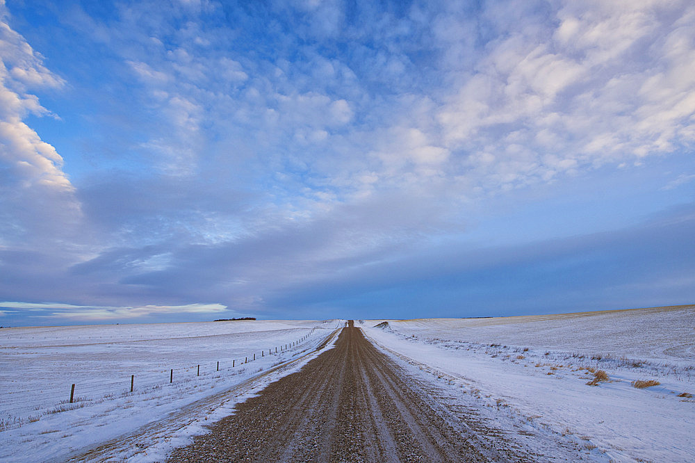 Road leading off into the distance in the wintery landscape in rural Saskatchewan, Assiniboia, Saskatchewan, Canada