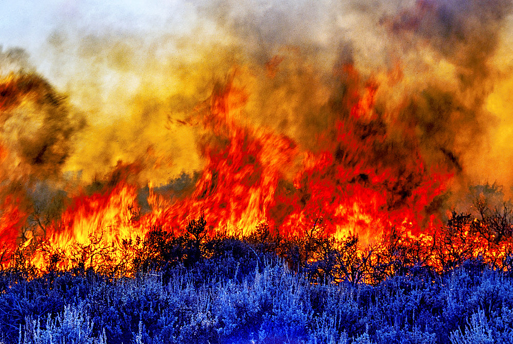 Flames leap high as a wildfire caused by lightning spreads into the night along a ridge line, Malad River, Idaho, United States of America