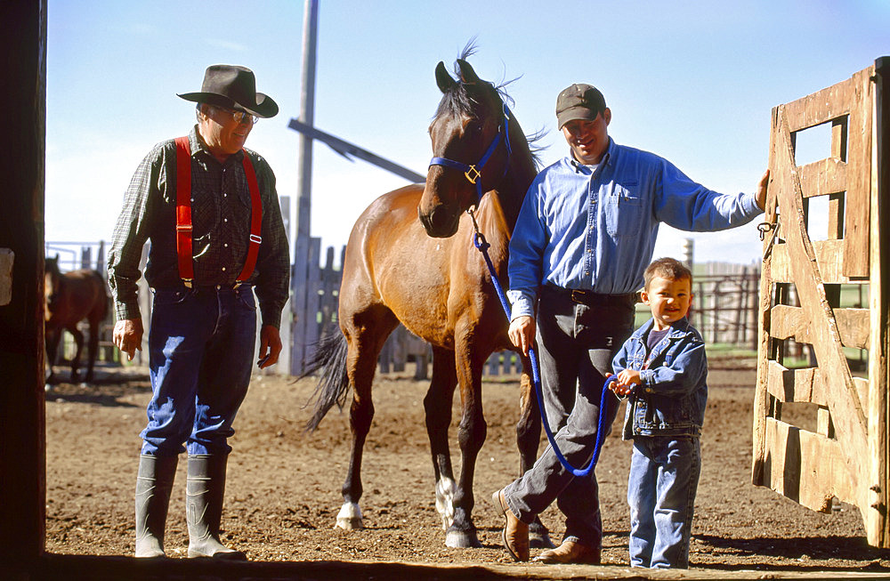 Rancher, his son and grandson with a horse at a corral gate, Howes, South Dakota, United States of America