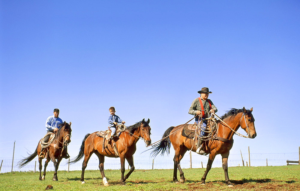 Rancher, his son and grandson on horseback, Howes, South Dakota, United States of America