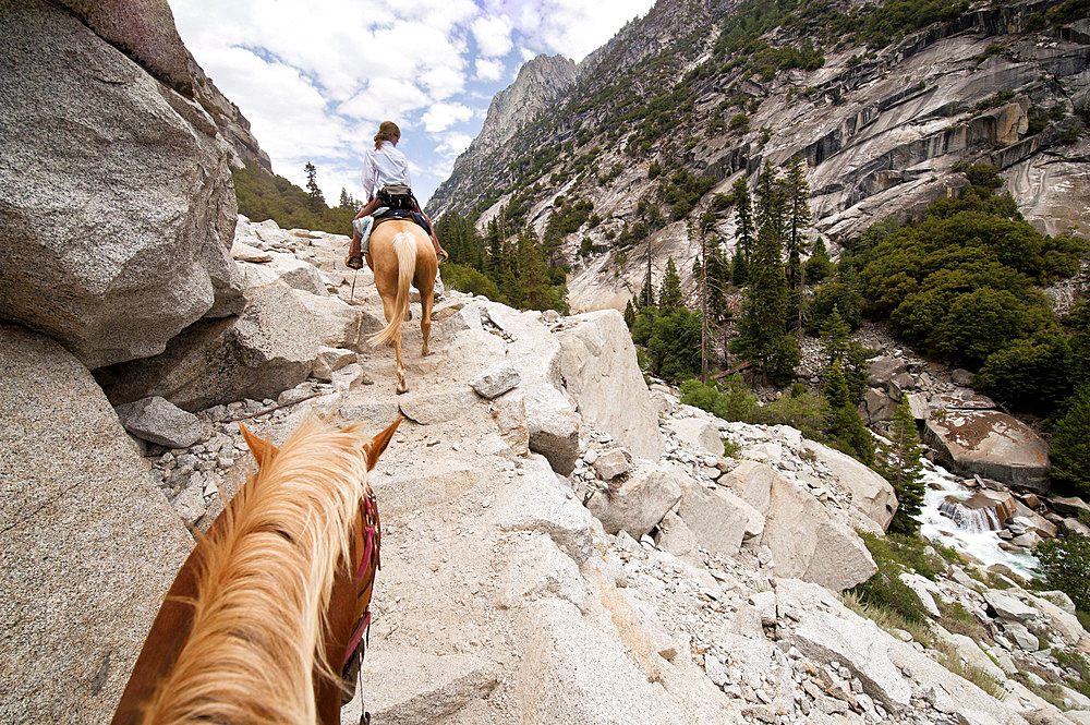 Horses are ridden through King's Canyon National Park, California, USA, California, United States of America