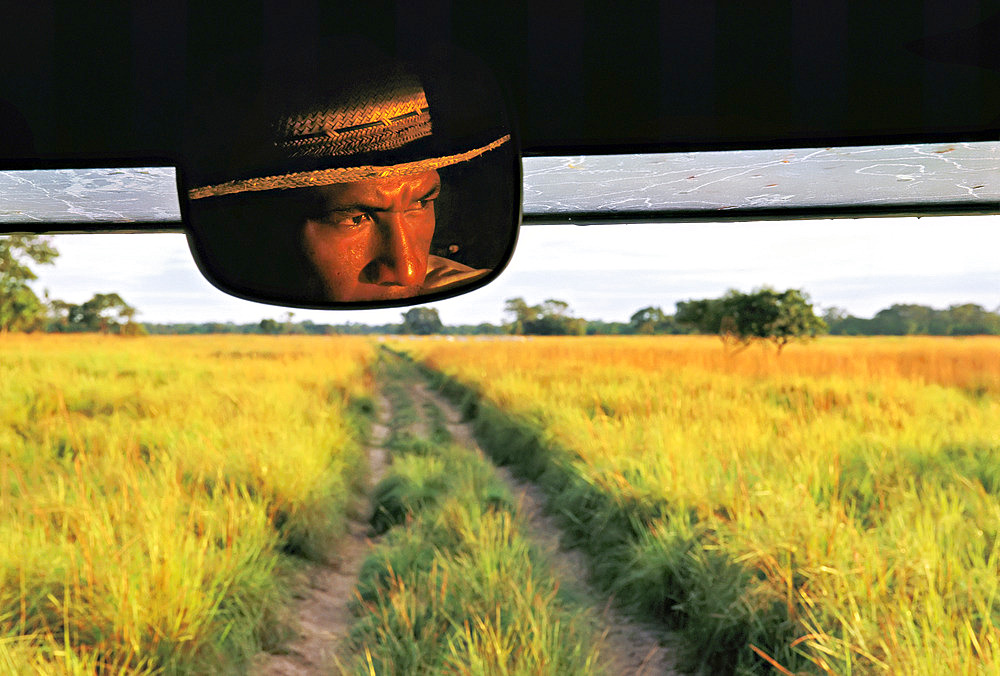 Wildlife spotter and guide in the rear-view mirror of his vehicle, Pantanal, Brazil