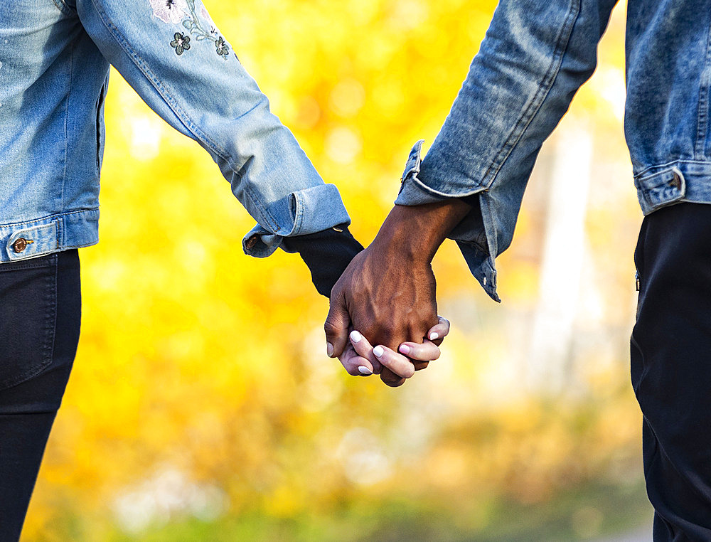 Close-up of the clasped hands of a mixed race couple, holding hands and spending quality time together during a fall family outing in a city park, Edmonton, Alberta, Canada