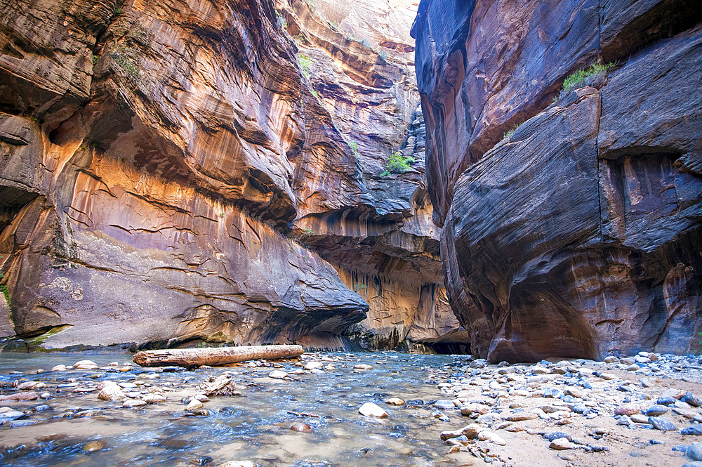 View of the river and rock cliffs of The Narrows, Zion National Park, Utah, United States of America