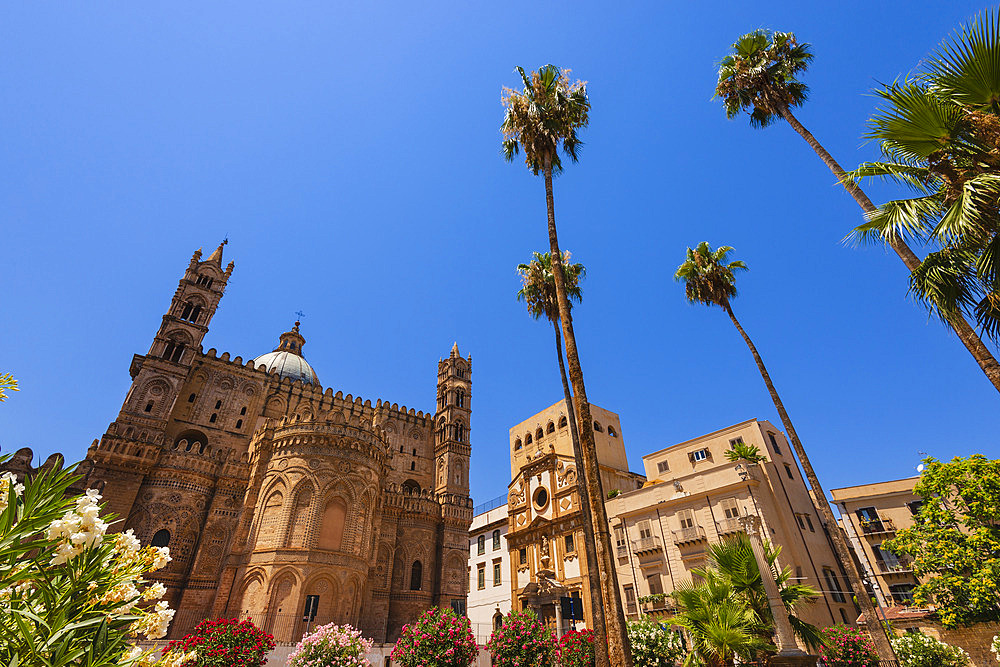 Palermo Cathedral in Sicily, Italy, Palermo, Sicily, Italy