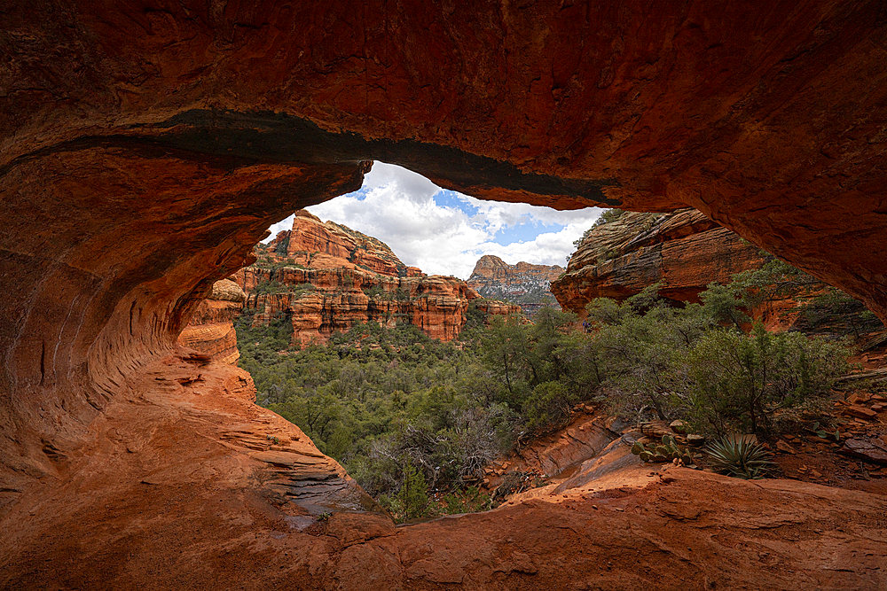 Sedona is located in the interior chaparral, semi-desert grassland, Great Basin conifer woodland biomes of northern Arizona. This is an example of the red rock that is very predominate in the area. Many hiking trails are in the area to take in these amazing sights, Sedona, Arizona, United States of America