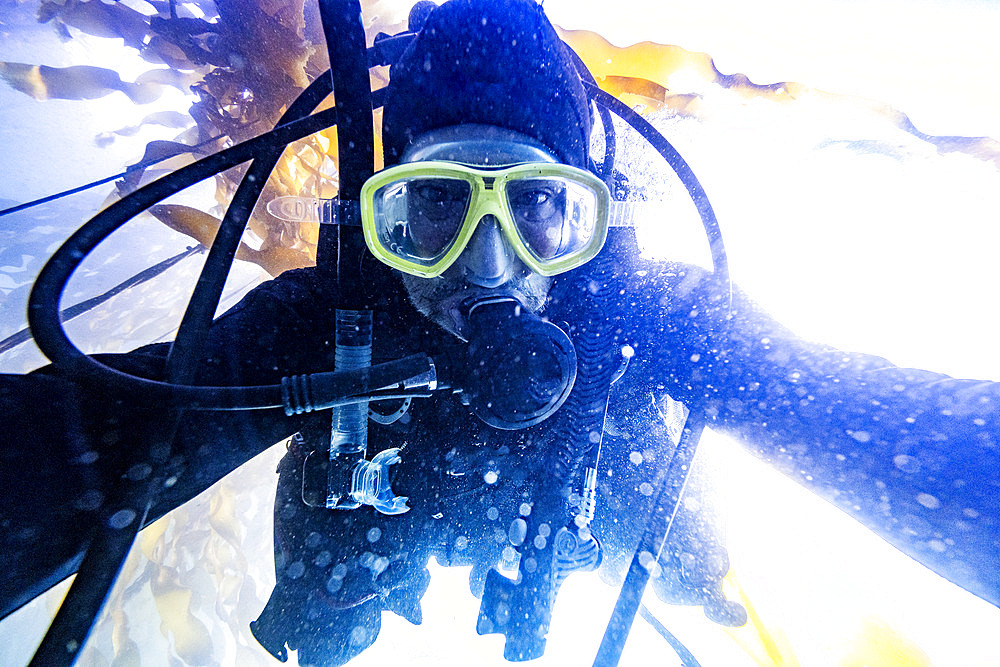 Close-up of a photographer scuba diving and looking at the camera for a self-portrait while submerged in ocean water and kelp floating behind, Vancouver Island, British Columbia, Canada