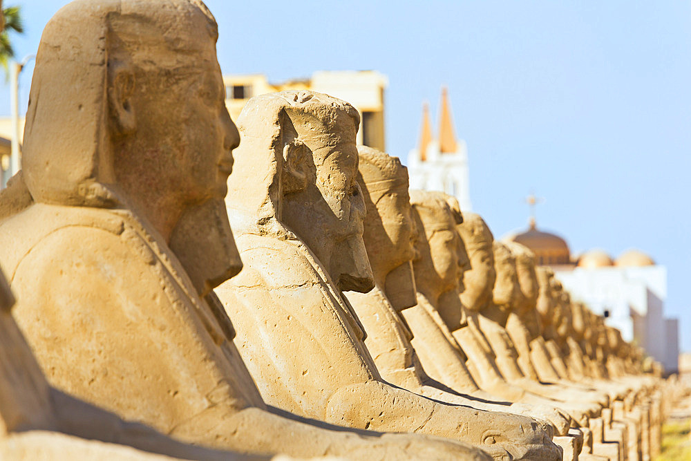 Avenue of Sphinxes at Luxor Temple, Luxor, Egypt