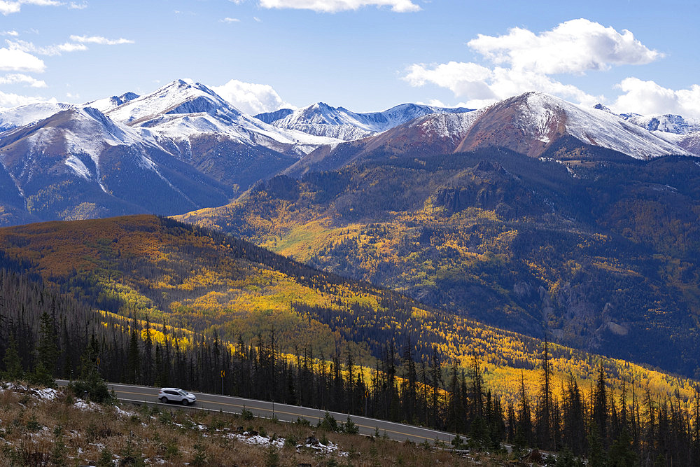 Fall colors abound in Colorado during the seasonal change. Brilliant yellow leaves adorn the trees as far as you can see. A beautiful state to drive through during autumn, Colorado, United States of America