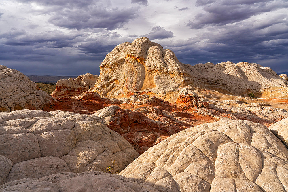 Surreal landscape of White Pocket with stormy clouds gathering overtop. They are comprised of swirling, multicolured Navajo Limestone with domes, hoodoos and potholes, Arizona, United States of America