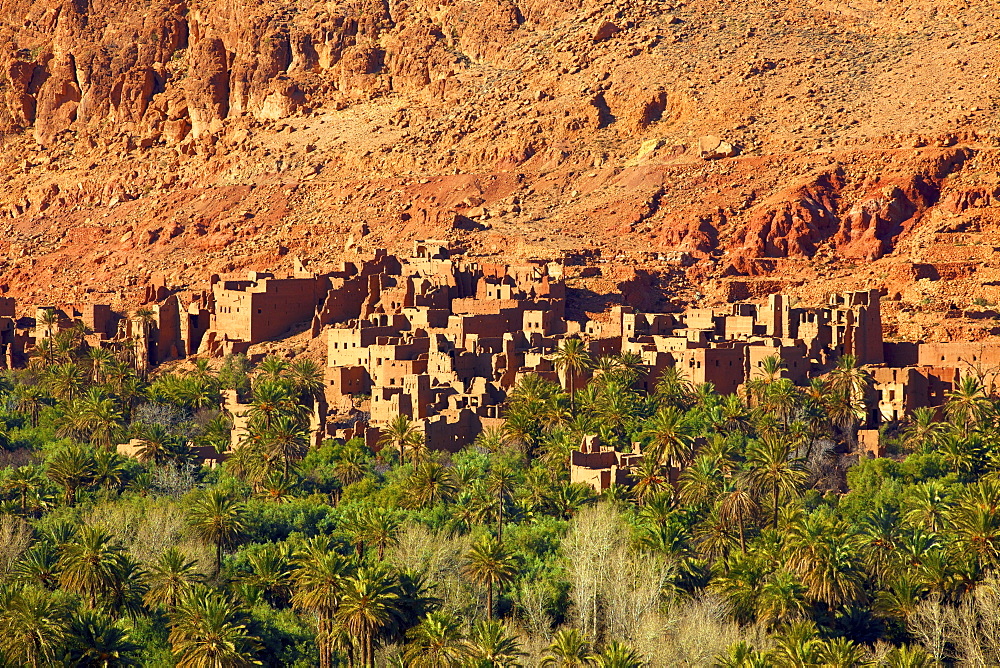 Road to Todra Gorge with oasis, Tinghir, Morocco, North Africa, Africa